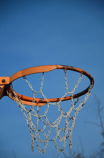 华体会app下载-篮球运动员专项体能训练计划智能化设计与实施，篮球运动员体能训练的内容有哪些